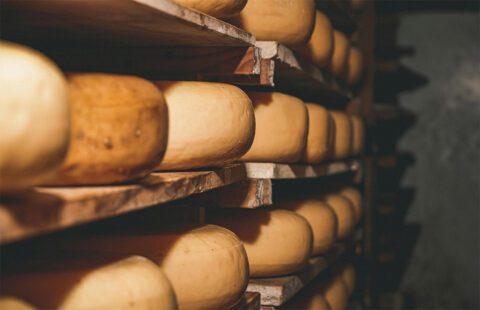 Le Trésor Secret des Fromages de Flandre : Découvrez les Pépites de l&rsquo;Agriculture Flamande au Printemps