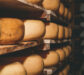 Le Trésor Secret des Fromages de Flandre : Découvrez les Pépites de l&rsquo;Agriculture Flamande au Printemps